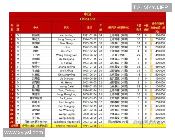 中国足球两大球星解析:谁是当前最具影响力的代表人物 中国足球两大球星解析:谁是当前最具影响力的代表人物