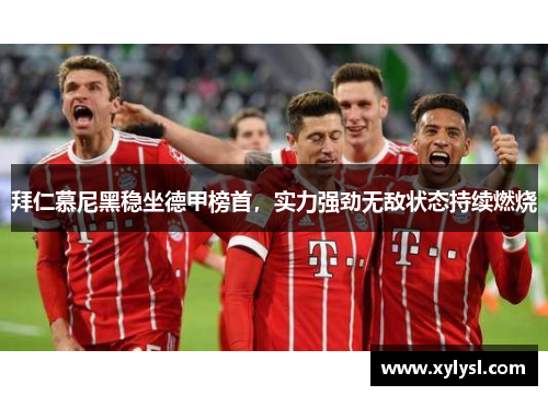 拜仁慕尼黑稳坐德甲榜首，实力强劲无敌状态持续燃烧