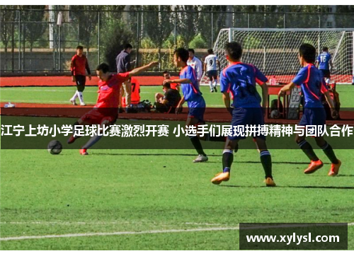 江宁上坊小学足球比赛激烈开赛 小选手们展现拼搏精神与团队合作